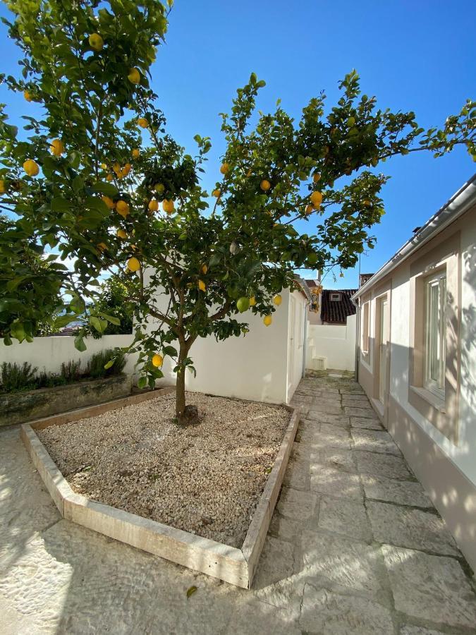 Se Velha Studios Coimbra Exterior foto